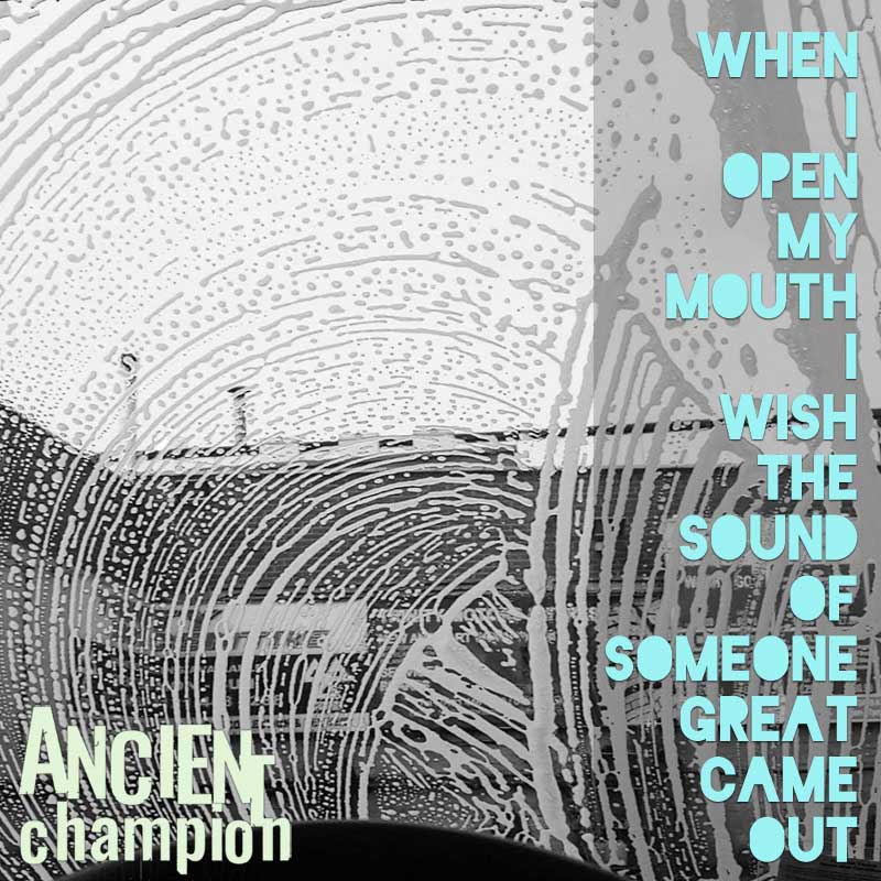 When I Open My Mouth I Wish The Sound Of Someone Great Came Out